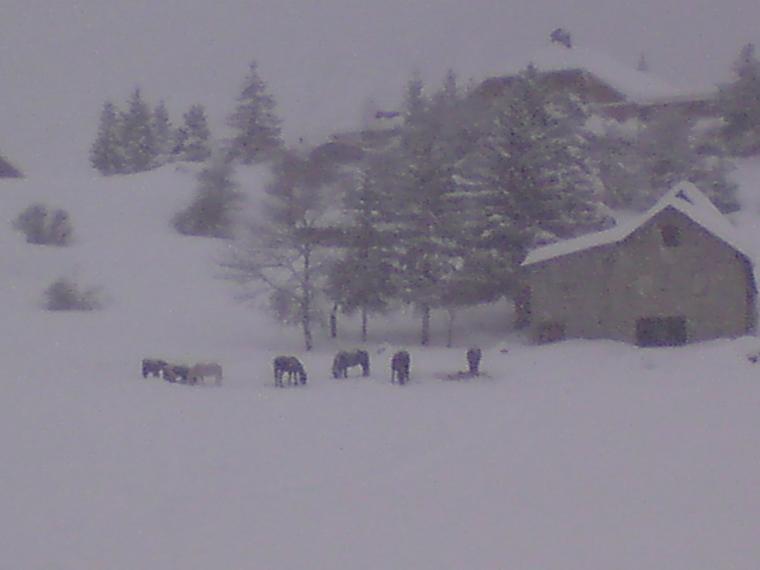 Auron Decembre 2008