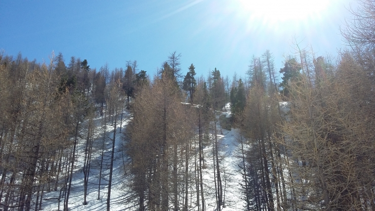 Hors Piste TK Plateau-Parcs (Saison 2016-2017)