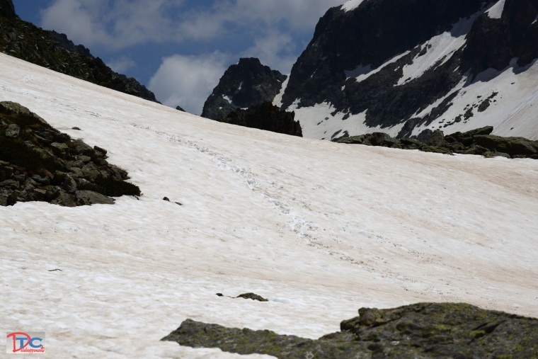 vers le lac de fenestre 09/06/2014