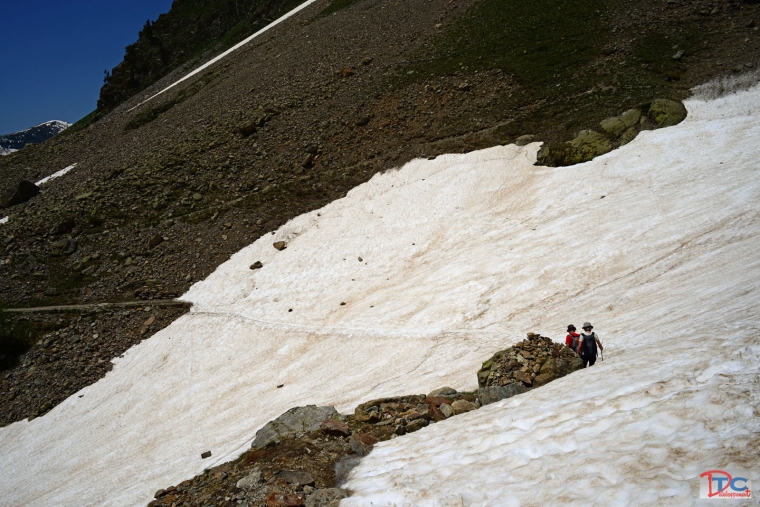 langues de neiges madone fenestre 9/06/2014